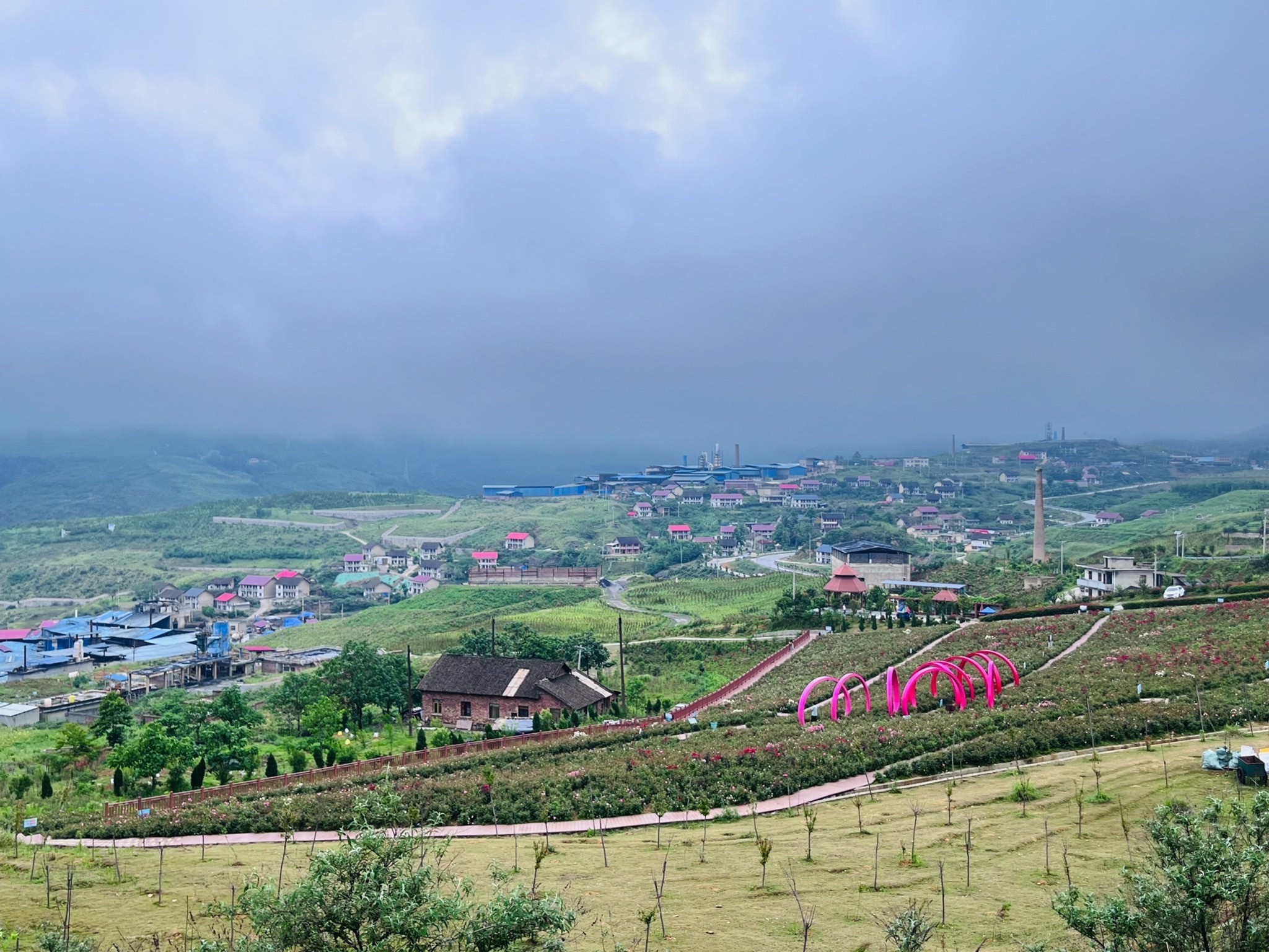 玫瑰爱琴海旅行图片 1