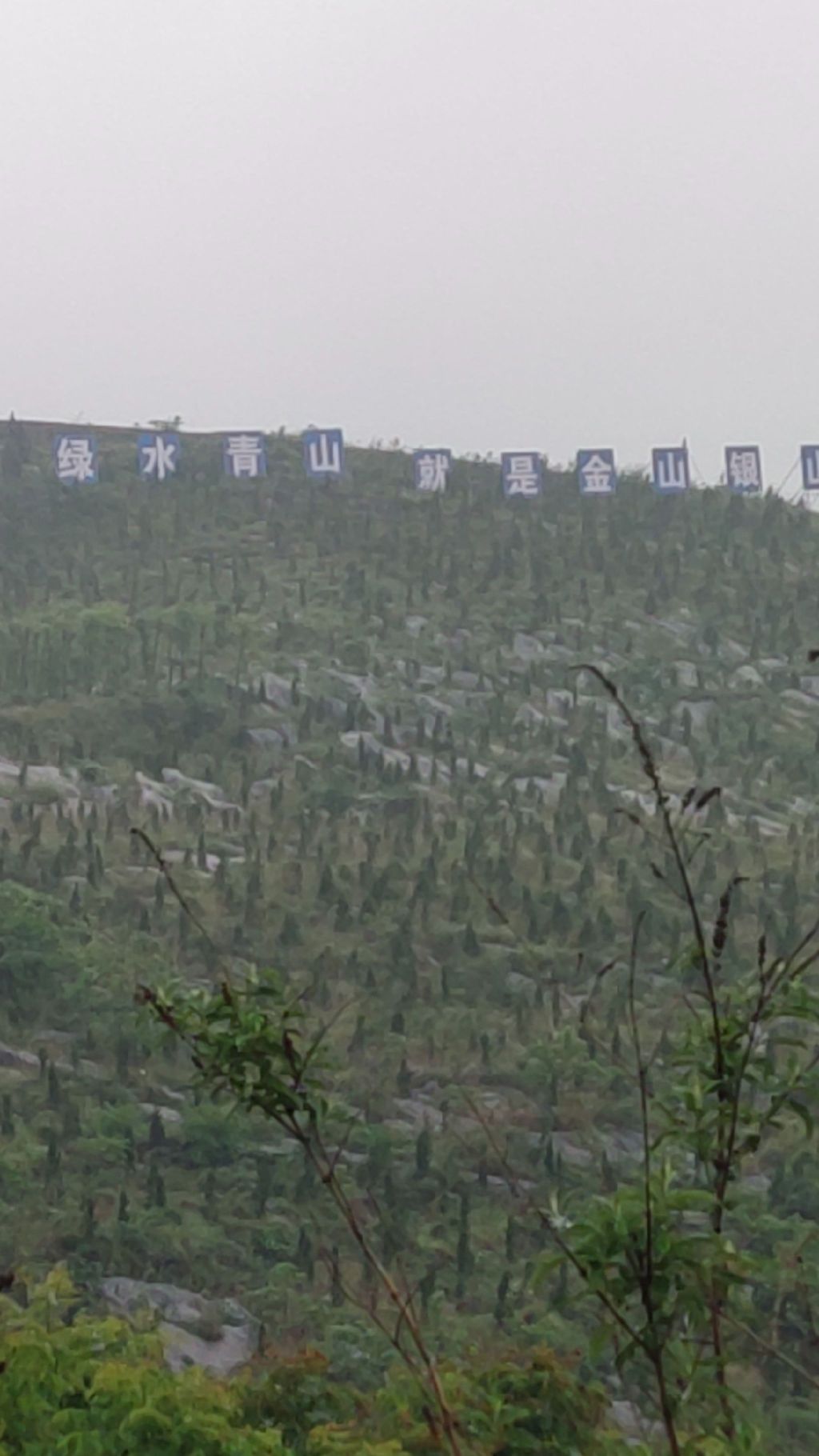 玫瑰爱琴海旅行图片 1