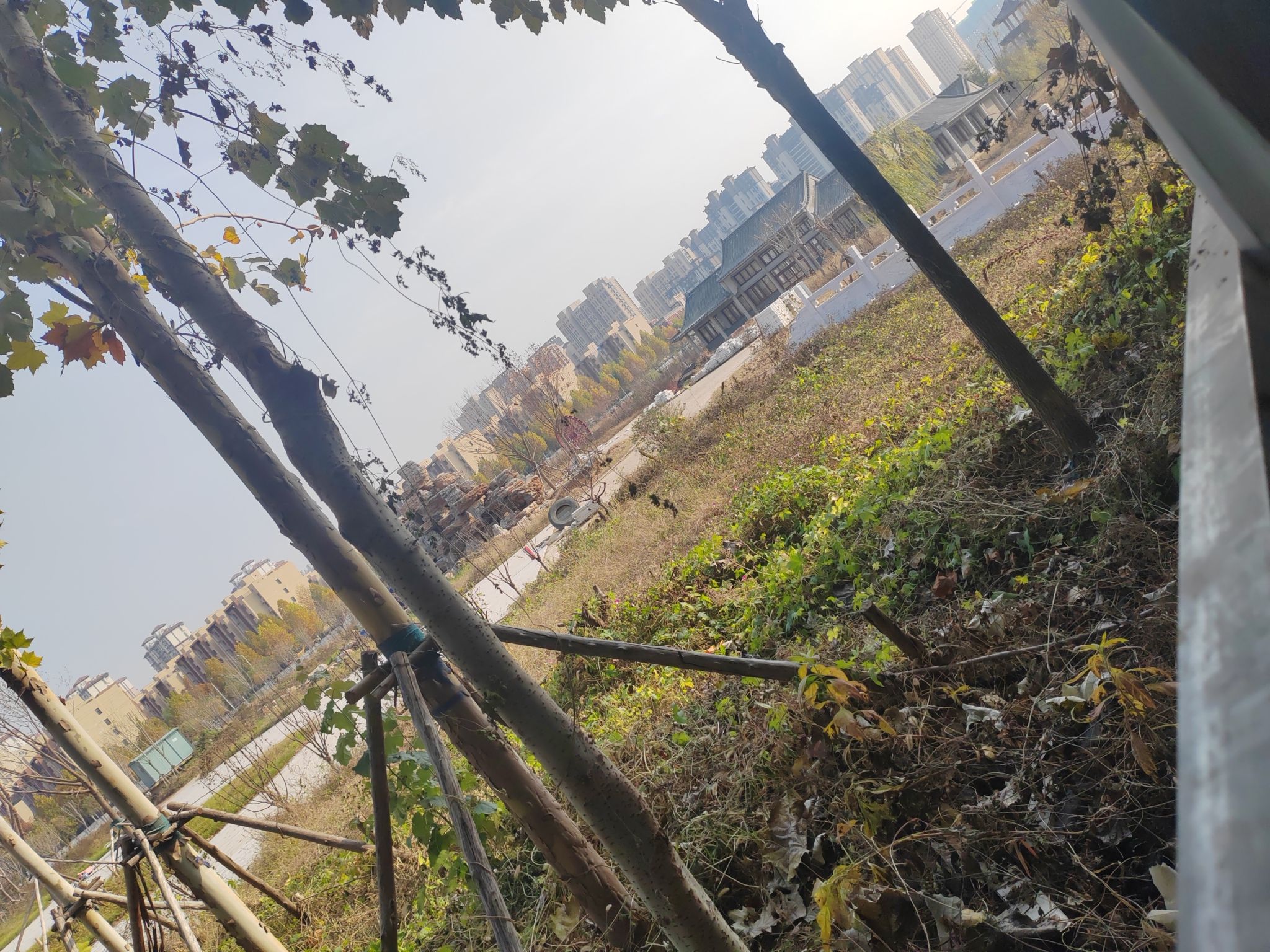 邢台市节水公园旅行图片 1