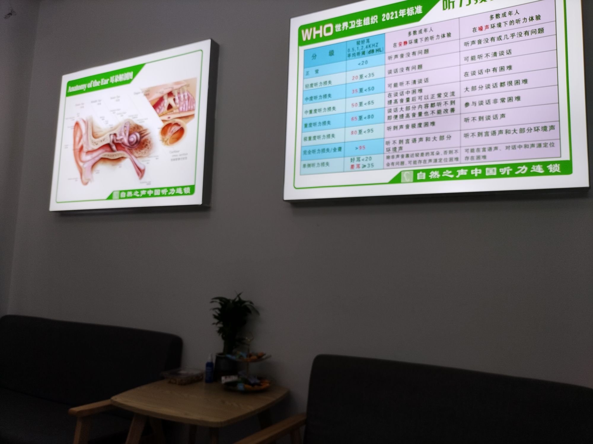 自然之声助听器·呼吸机(北辰店)