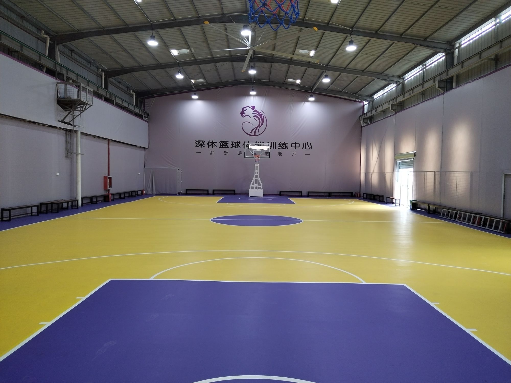 场地封面-深体篮球体能训练中心
