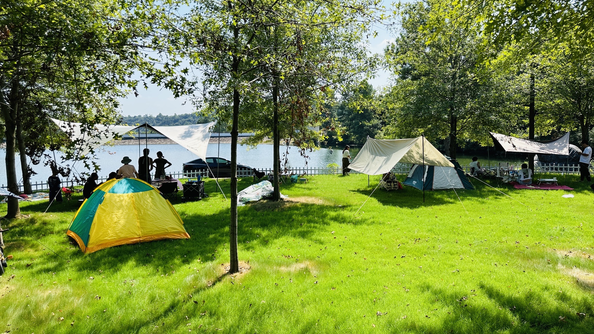 场地封面-茶草湾森林营地