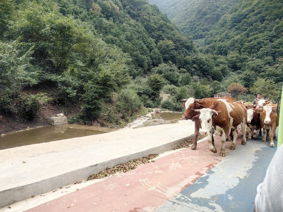 中镇霍山洪洞兴唐寺景区旅行图片 3