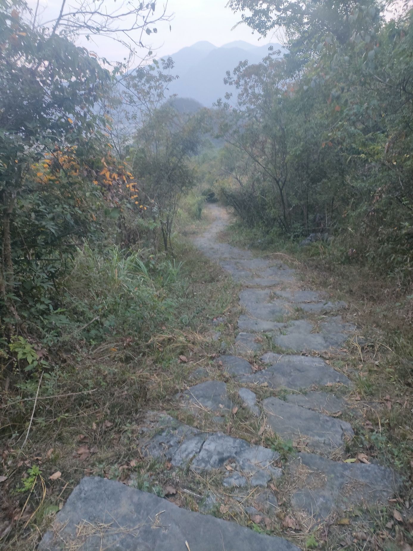 西京古道梯云岭旅行图片 2