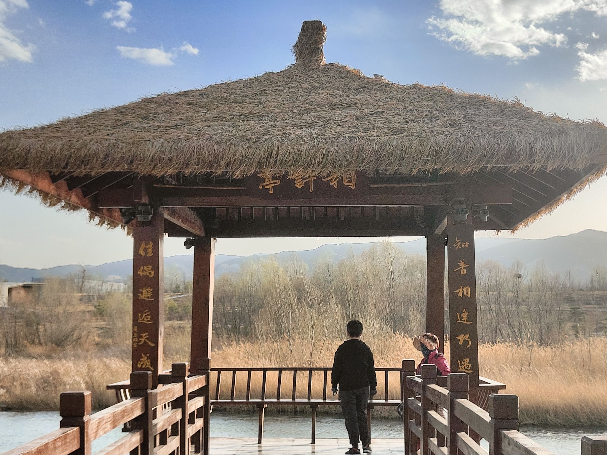汾河雁丘园旅行图片 2