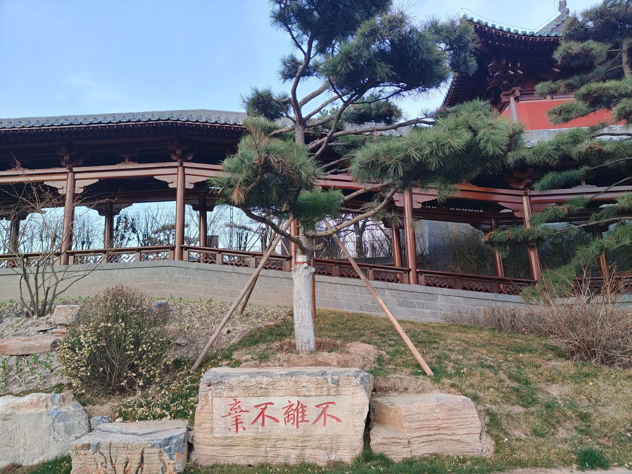 汾河雁丘园旅行图片 1