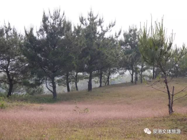 凤翔火山公园旅行图片 3