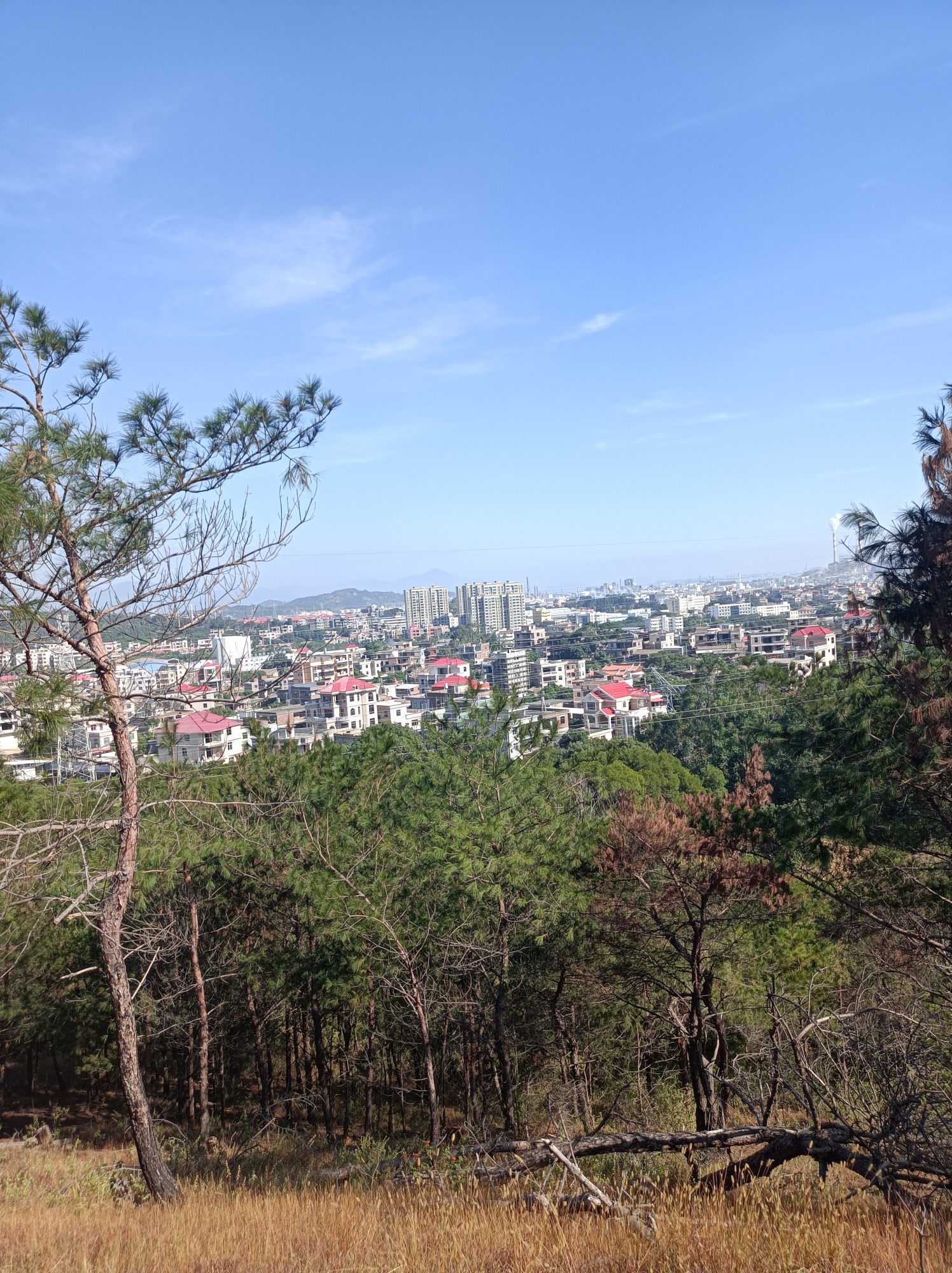 凤翔火山公园旅行图片 1