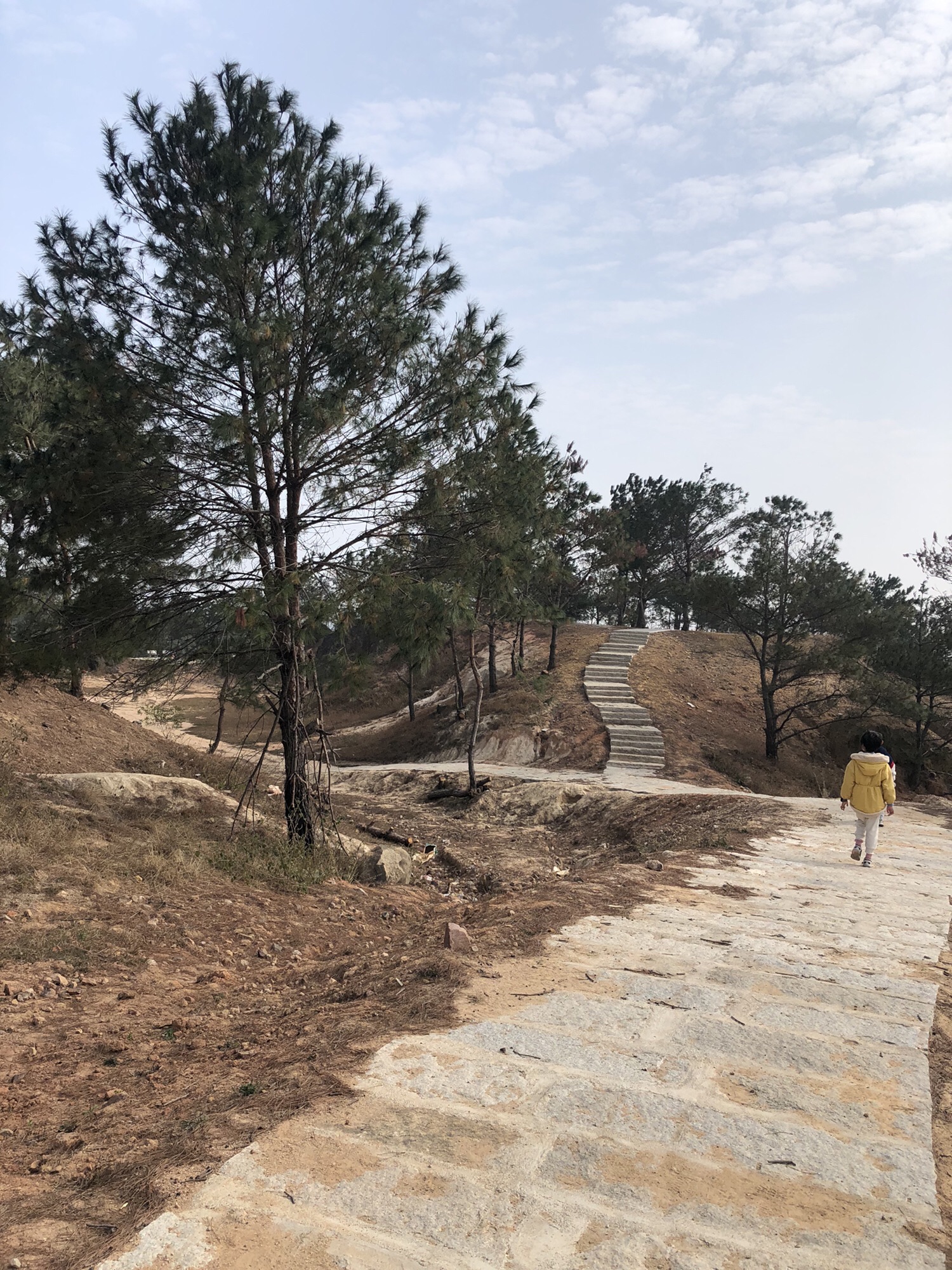 凤翔火山公园旅行图片 3