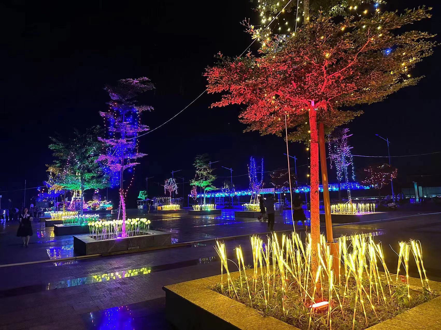 都安奇妙梦幻游乐场