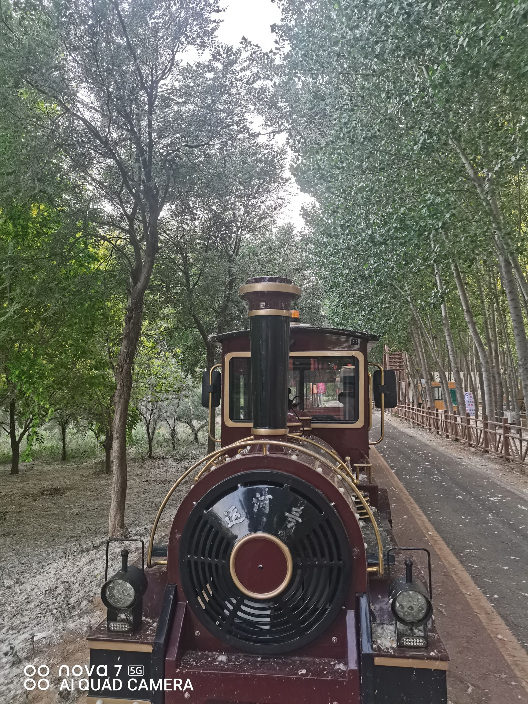 吴桥大运河文化带旅游区中心广场旅行图片 1