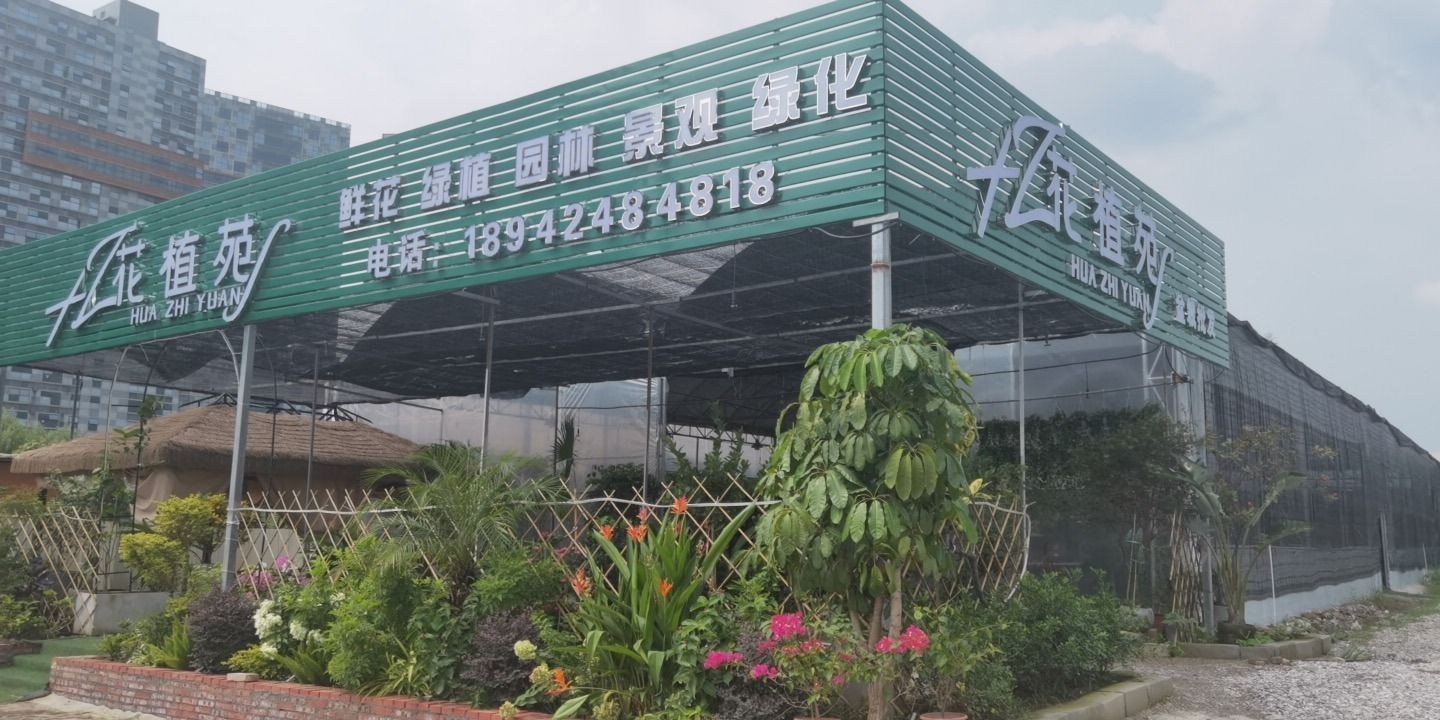 花植苑鲜花绿植园林(不做鲜花·花束)