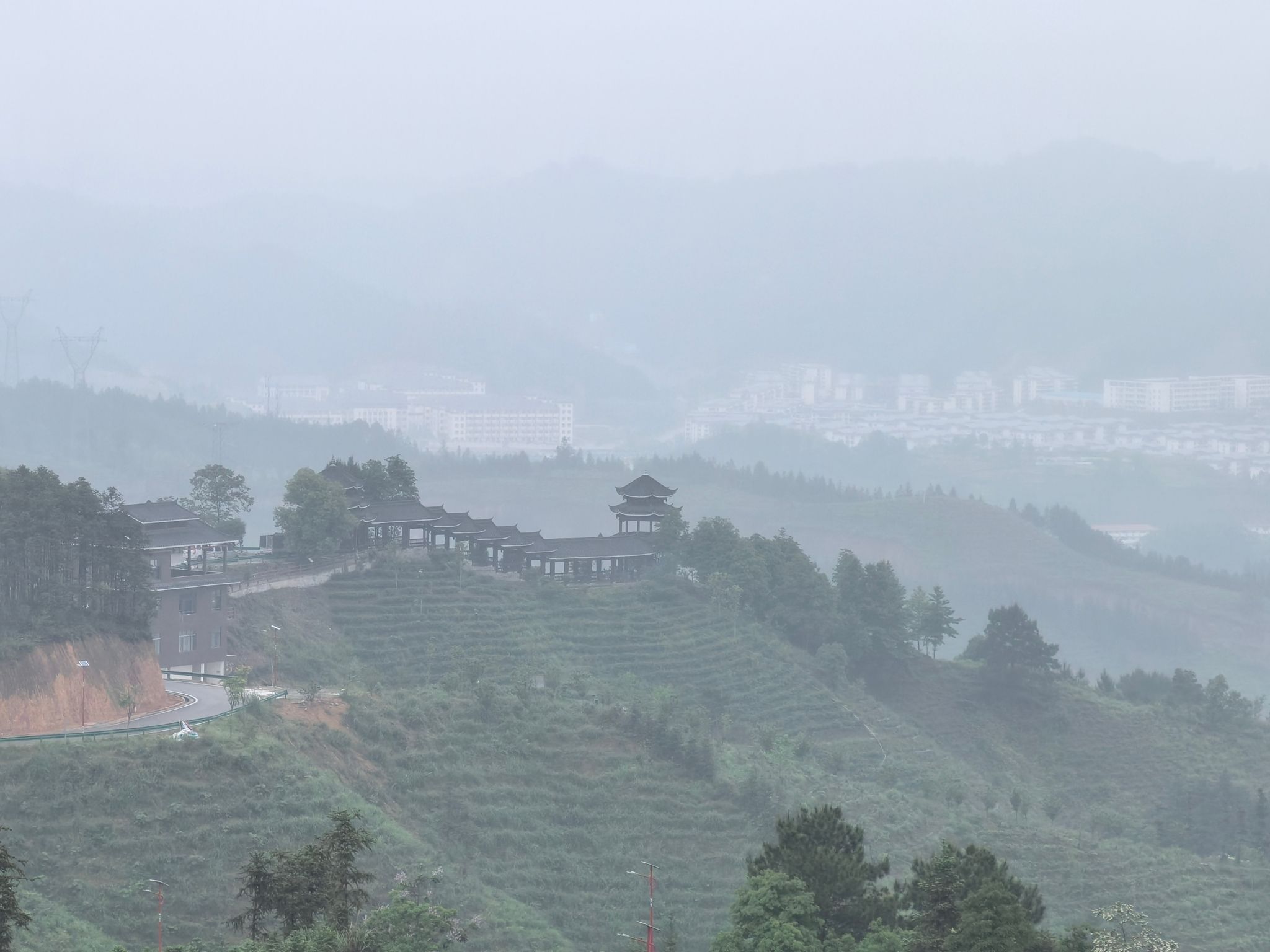 万亩茶园旅行图片 1