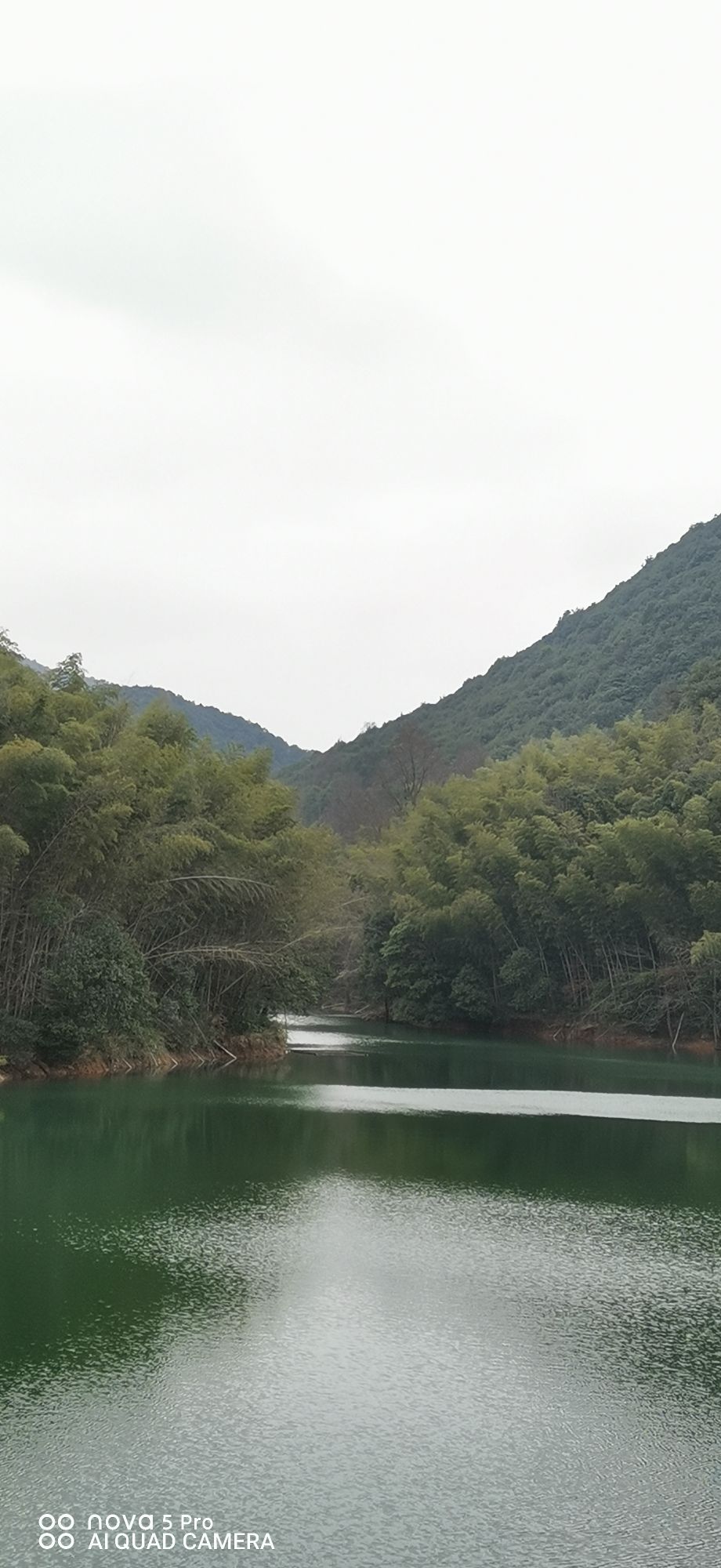 铅山县鹅湖山国家森林公园旅行图片 1