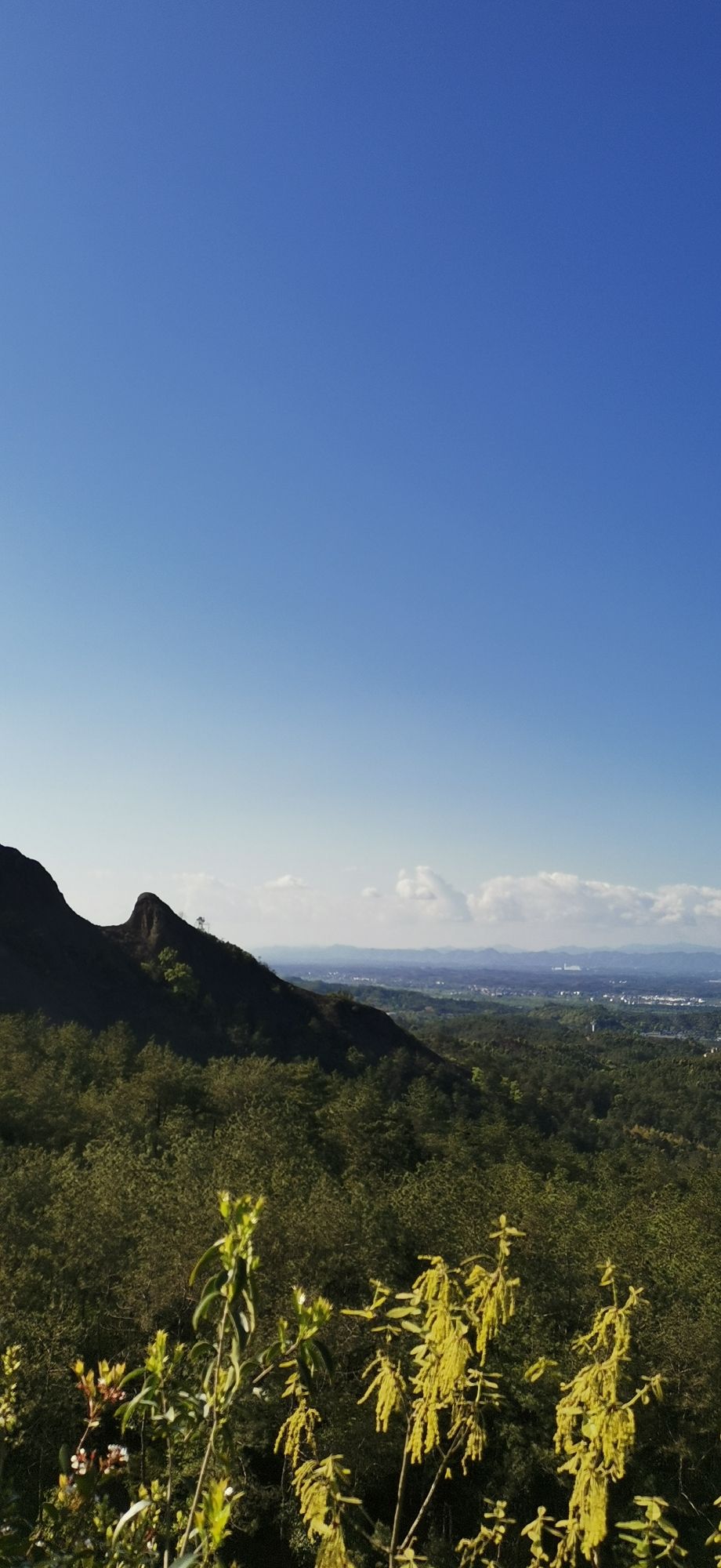 铅山县鹅湖山国家森林公园旅行图片 3