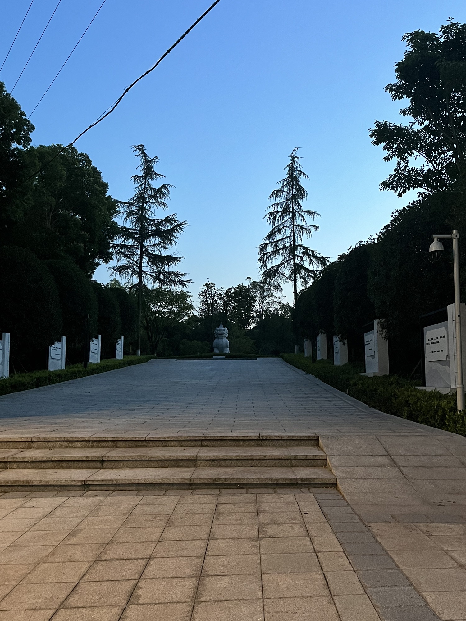 中国法官林旅行图片 2