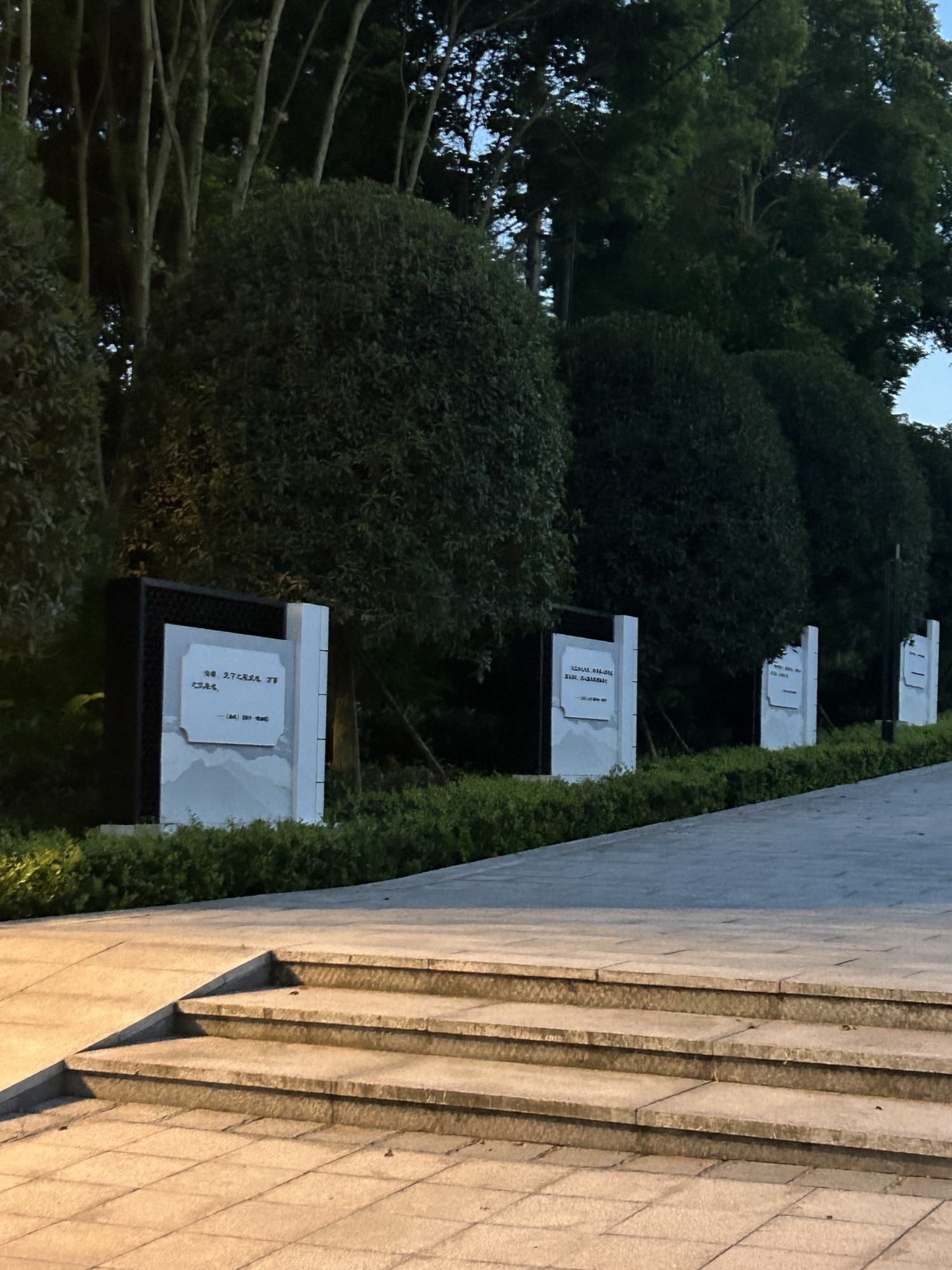 中国法官林旅行图片 2