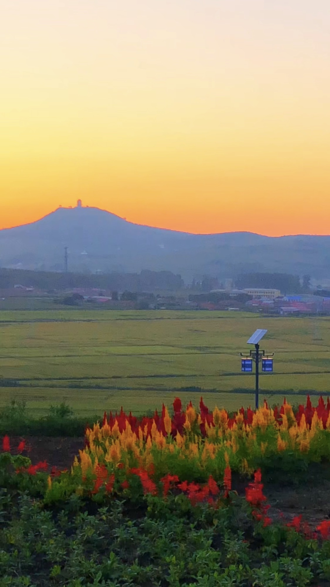 德胜公园旅行图片 1