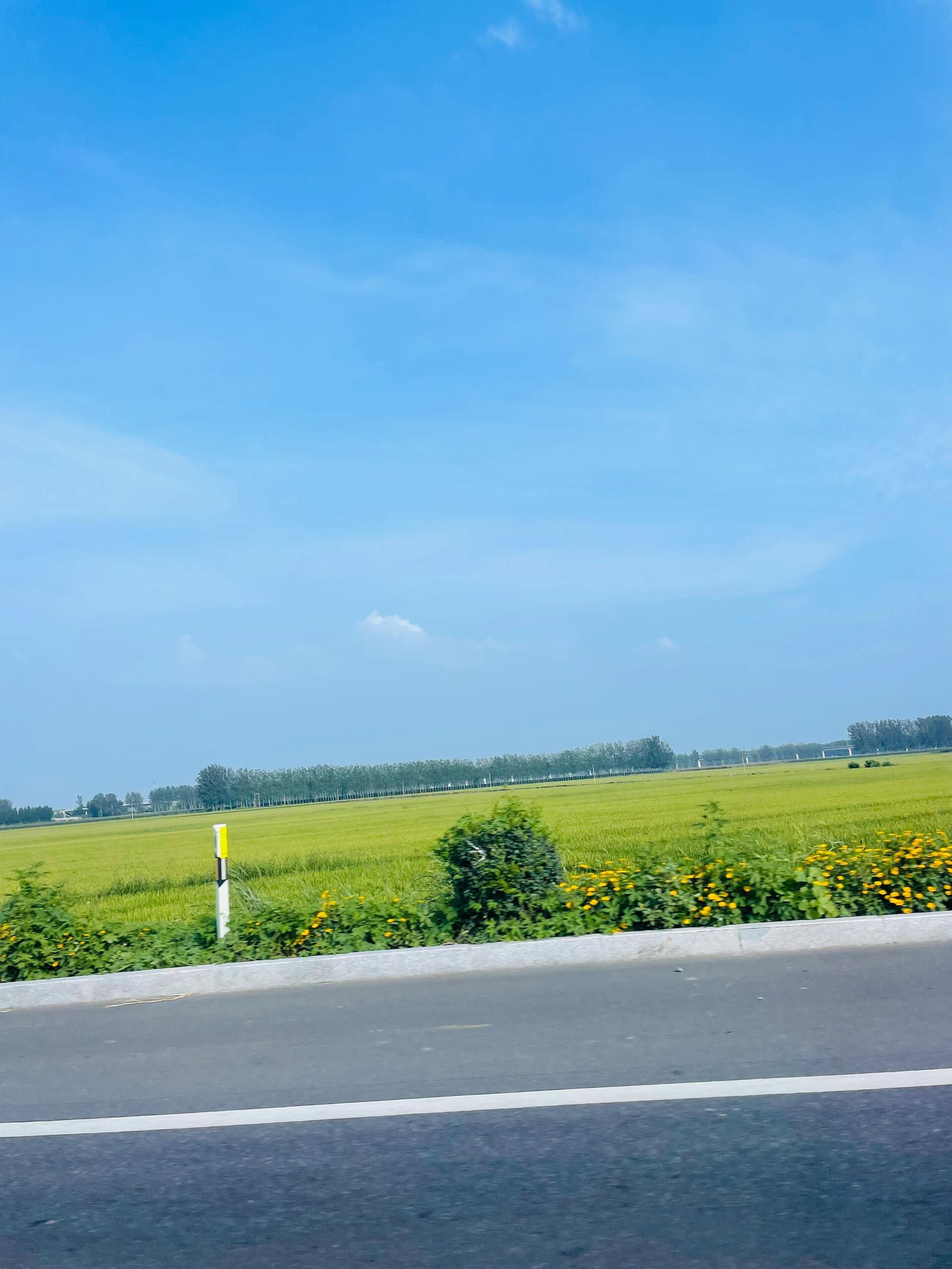 金帛滩海洋乐园(暂停开放)旅行图片 2