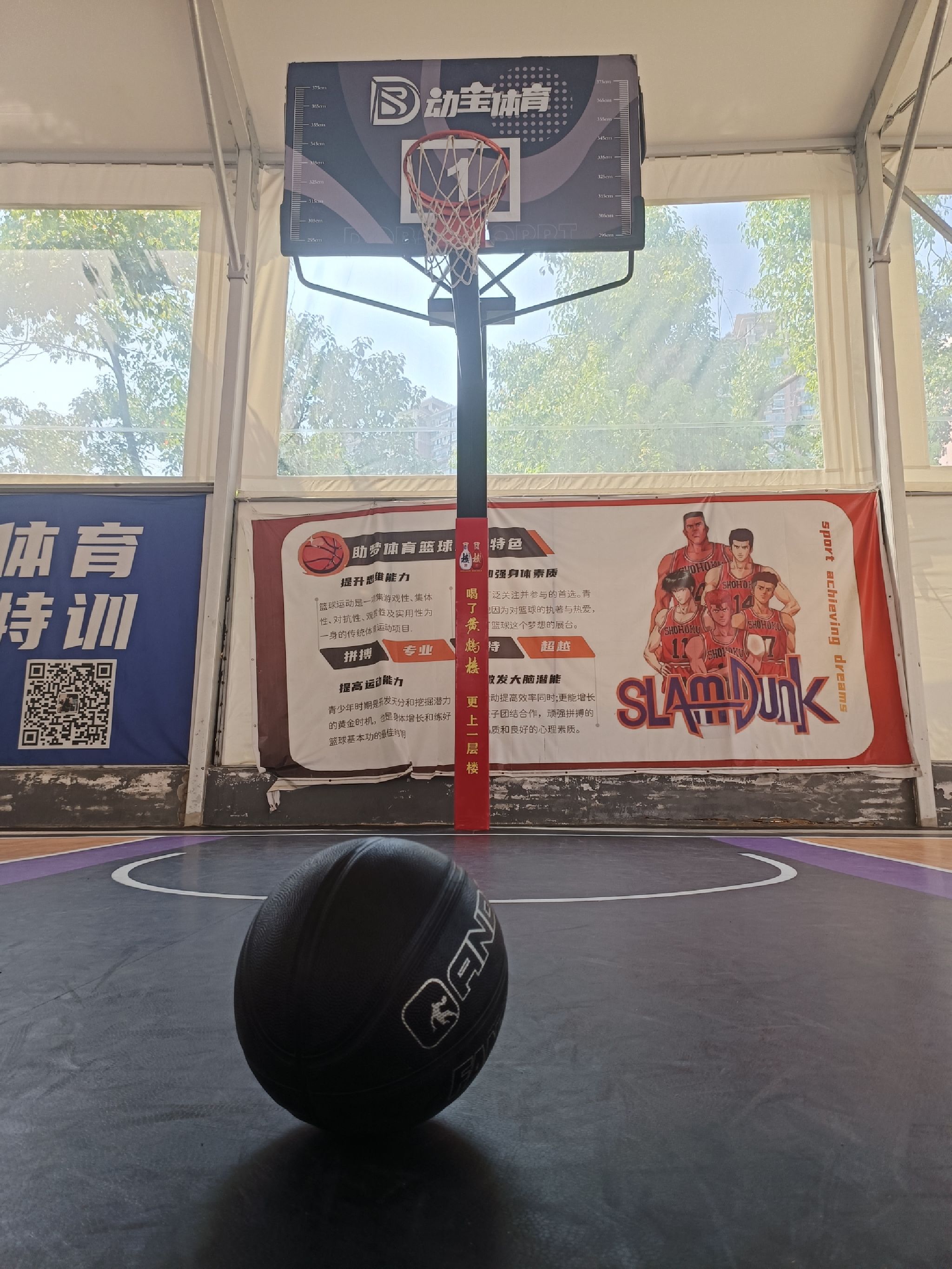 场地封面-动宝体育荷叶山篮球公园