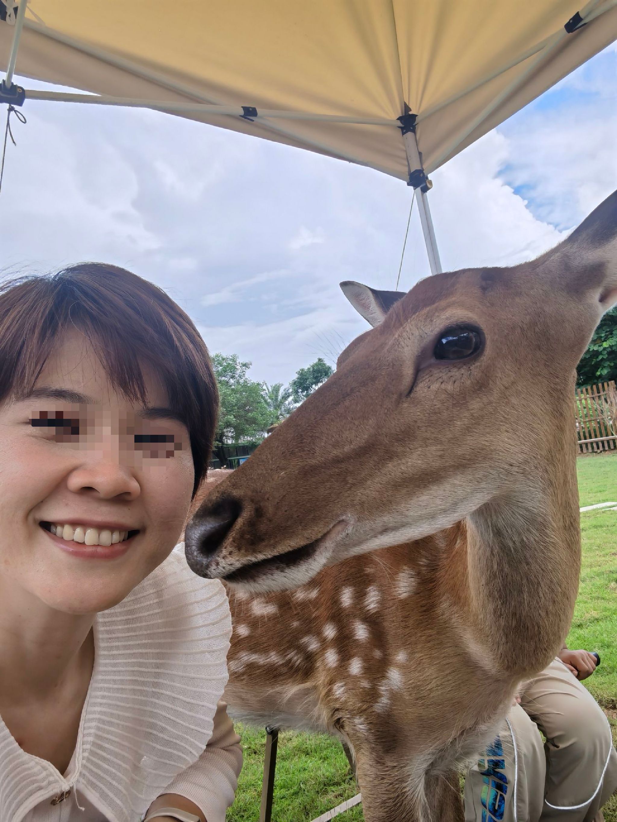 鹿境庄园旅行图片 1