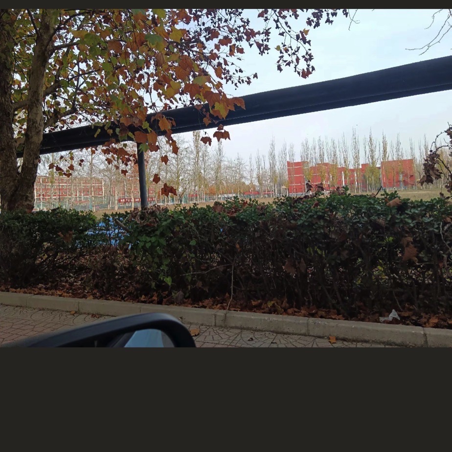 任丘市湿地公园旅行图片 1