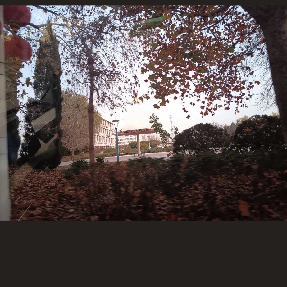 任丘市湿地公园旅行图片 2