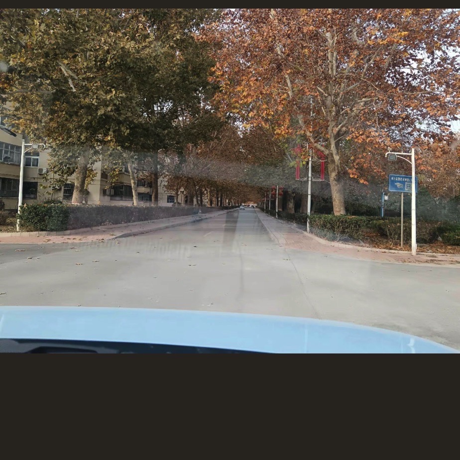 任丘市湿地公园旅行图片 3
