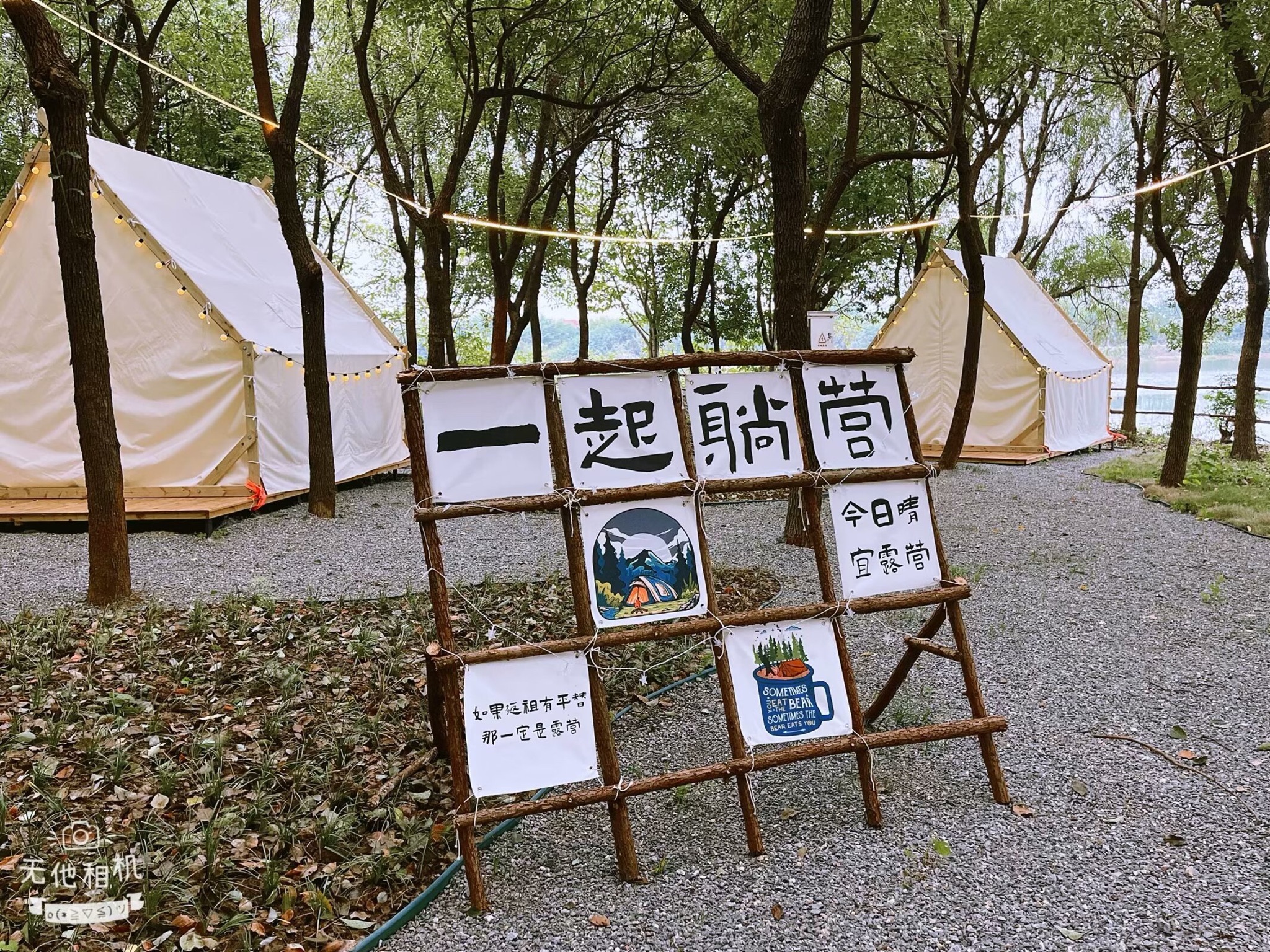 小树林露营