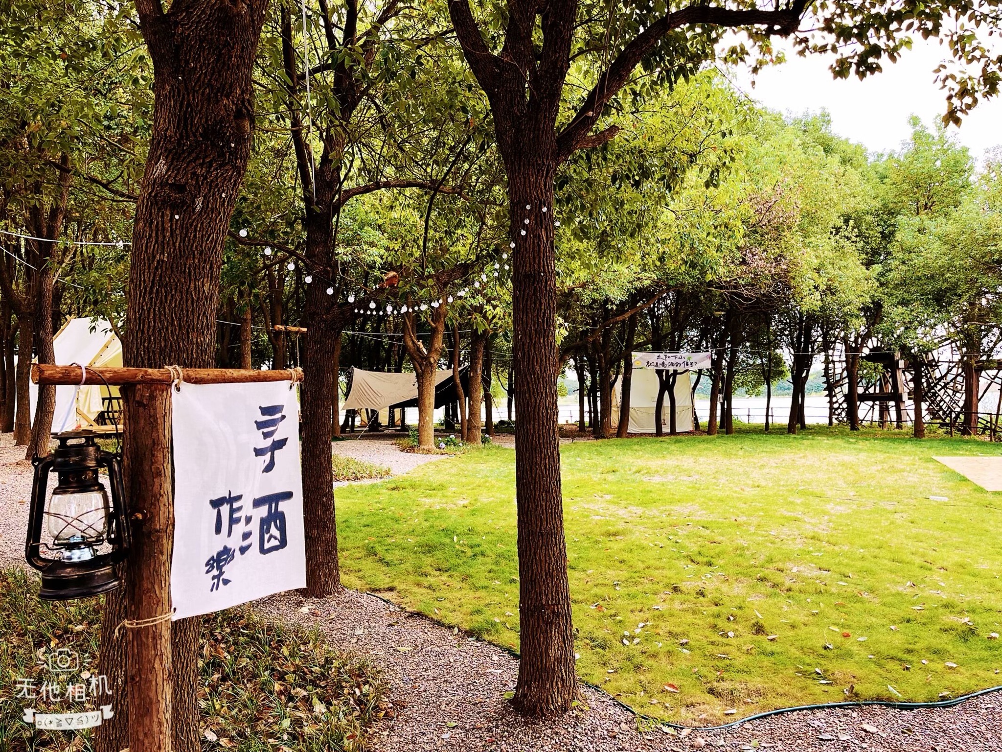 小树林露营