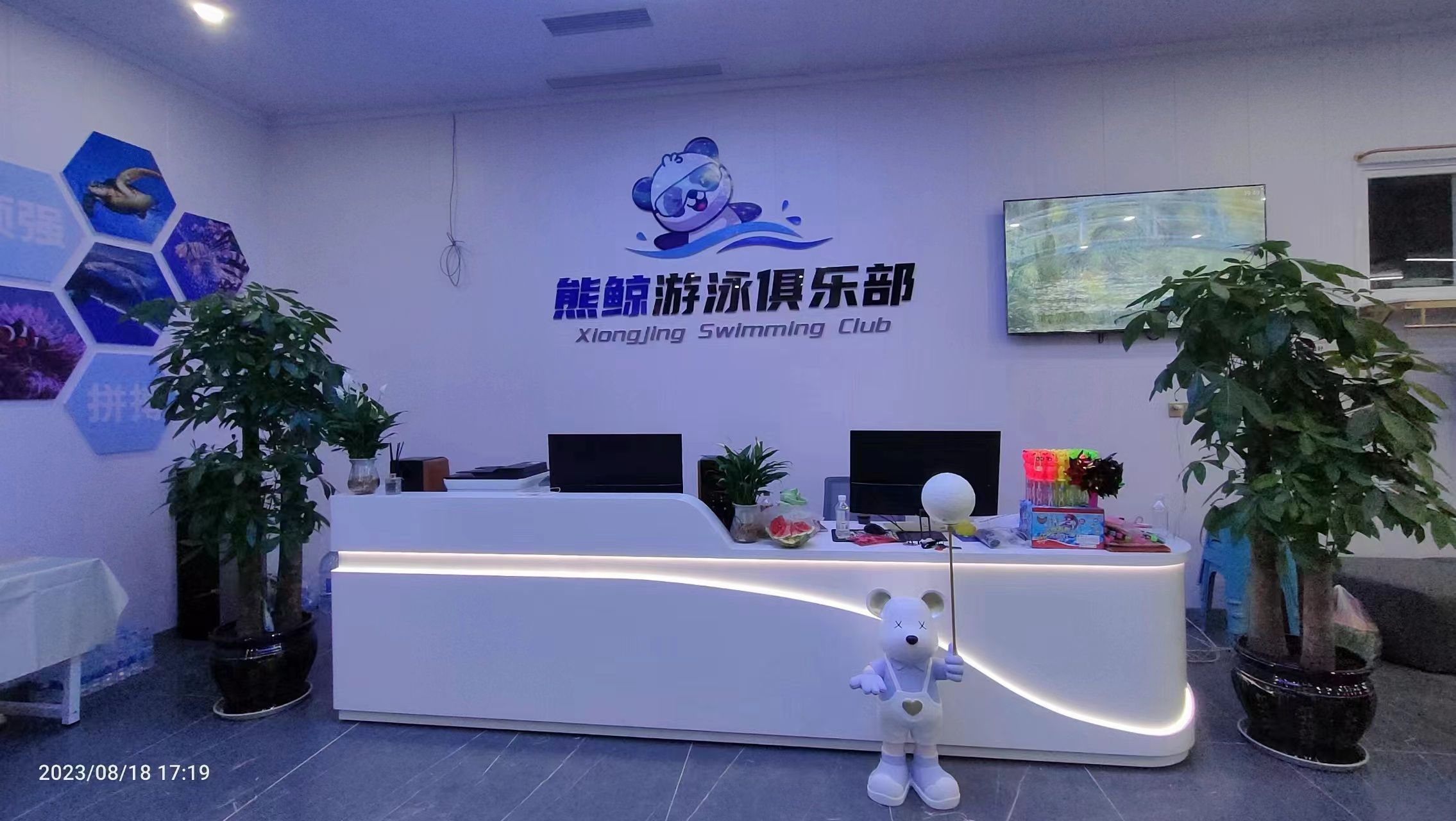 场地封面-熊鲸游泳俱乐部