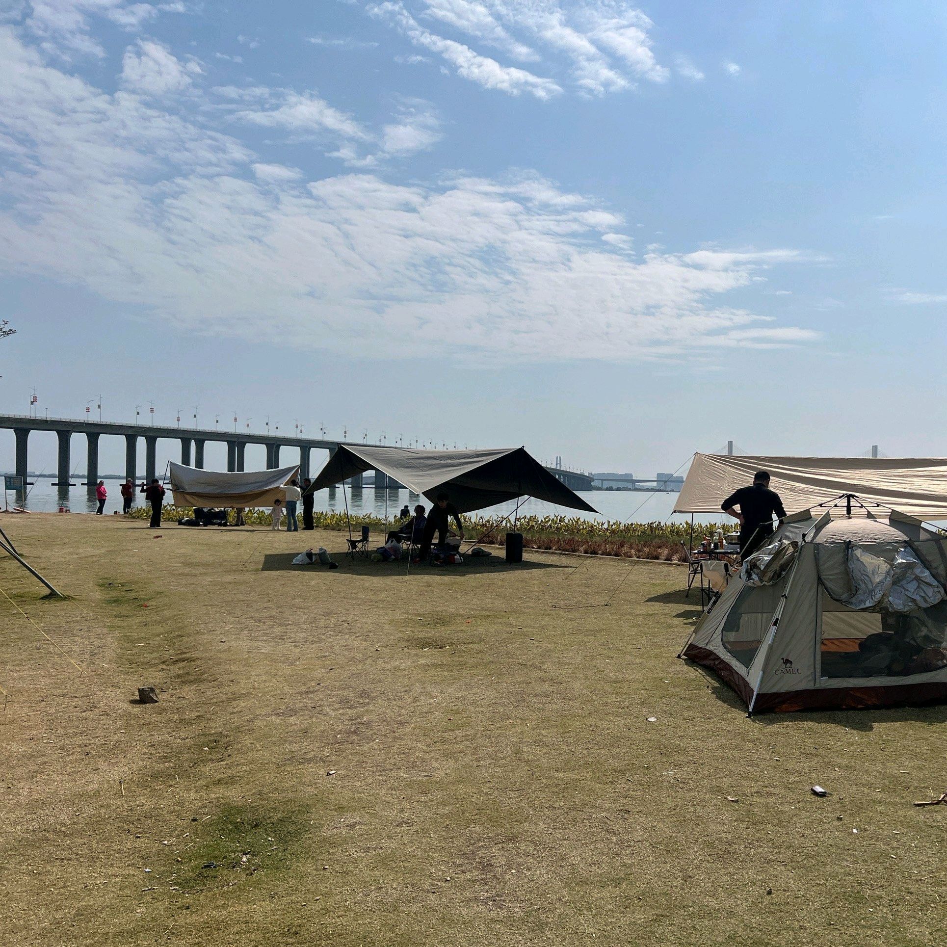 南沙凫洲大桥超级堤露营地
