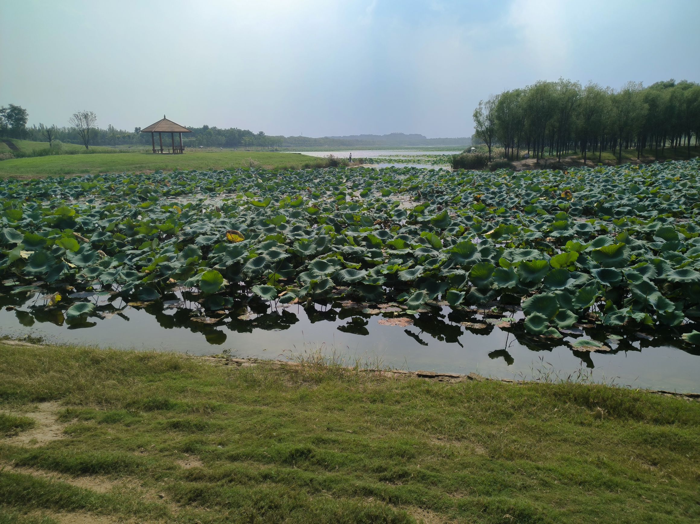 玉带湖旅行图片 1