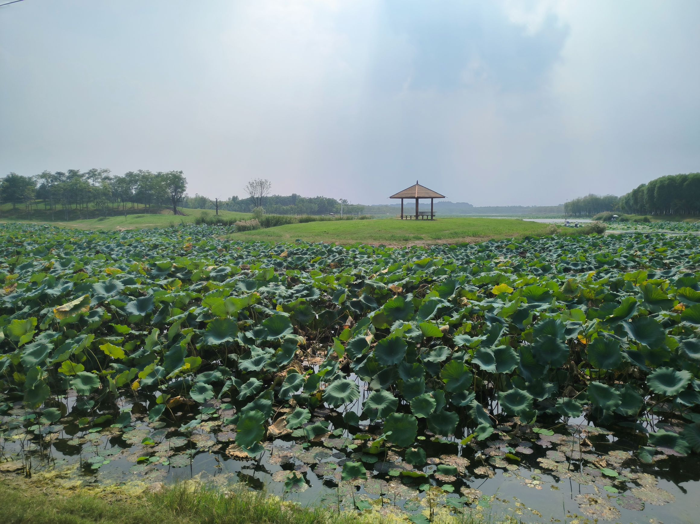 玉带湖旅行图片 2