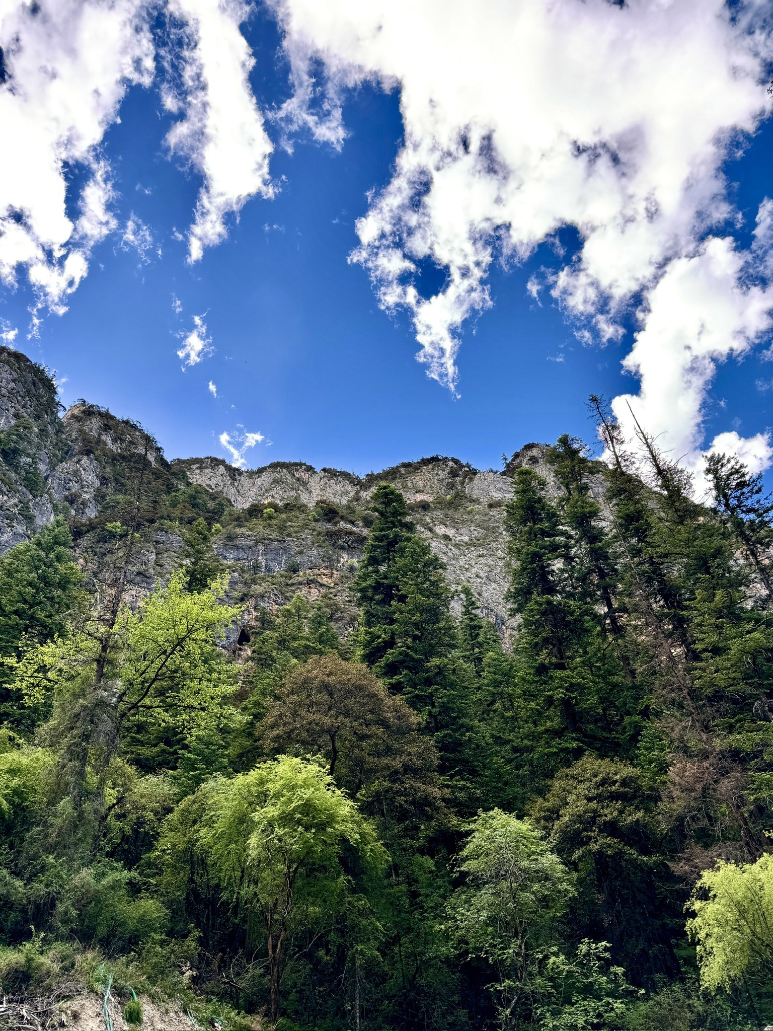 巴巴沟蓝松湖(暂停开放)旅行图片 2