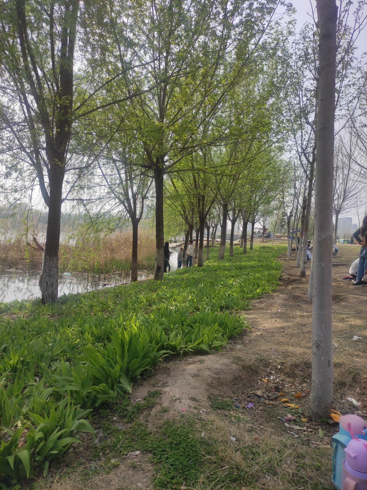 如意湖公园旅行图片 2