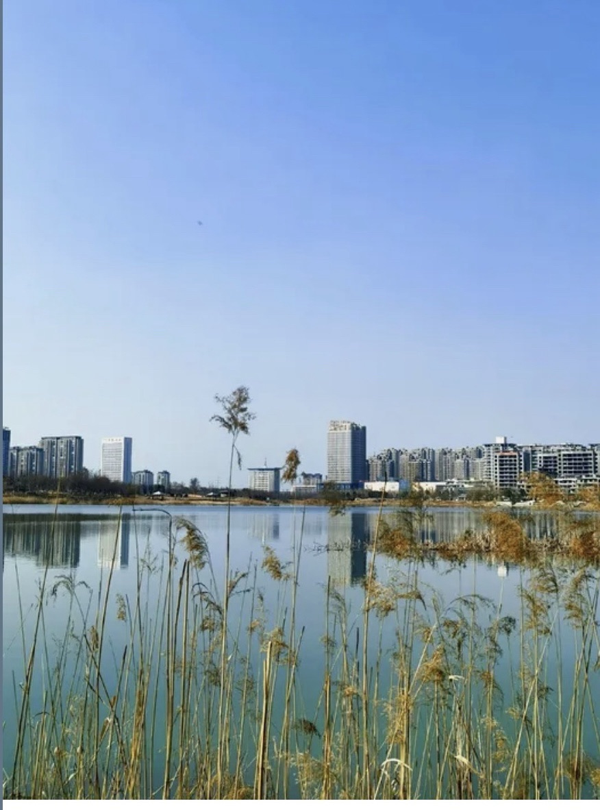 如意湖公园旅行图片 2