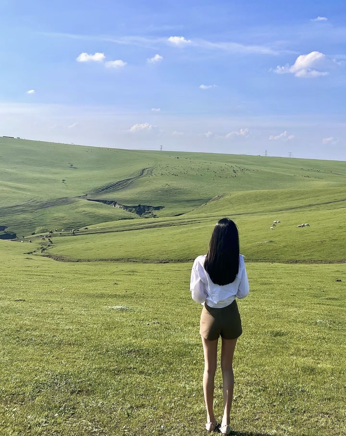 天赐草原旅行图片 3