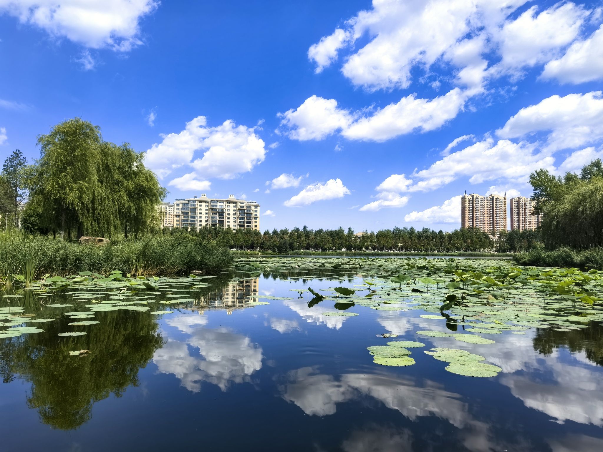 城投·南溪里旅行图片 2
