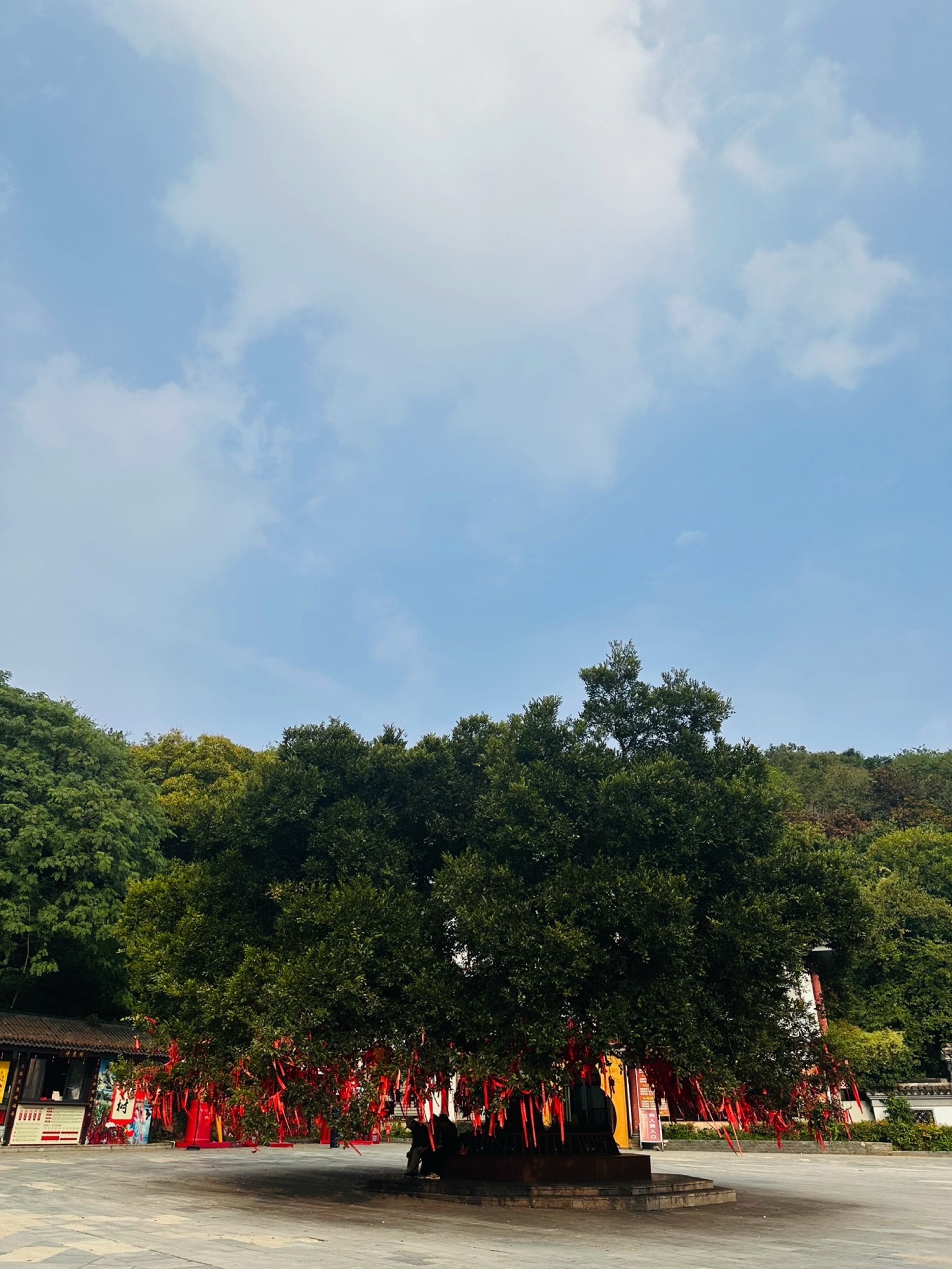 江苏省金坛茅山旅游度假区旅行图片 3