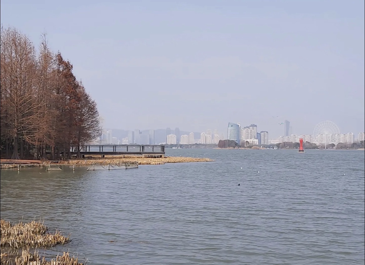 无锡长广溪国家湿地公园旅行图片 3