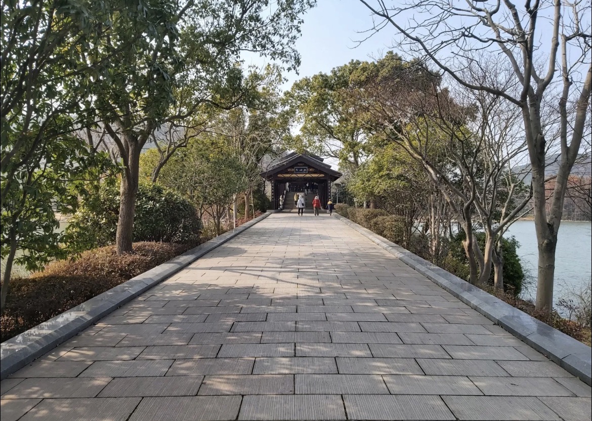 无锡长广溪国家湿地公园旅行图片 2