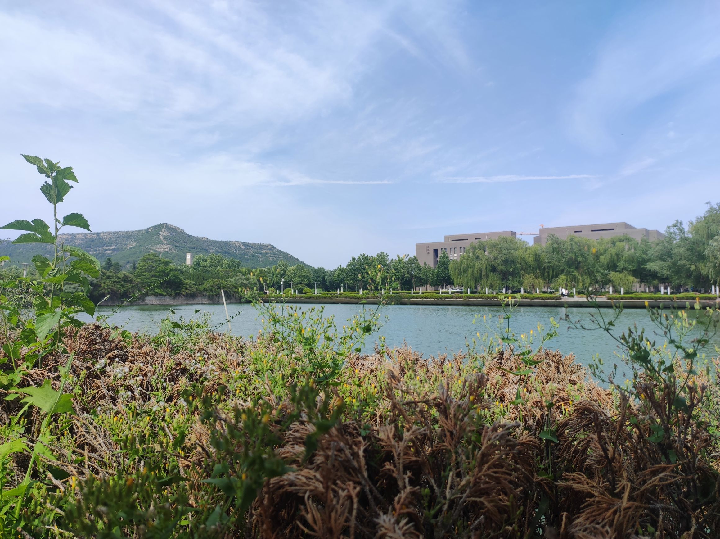 山东师范大学天颐广场旅行图片 3