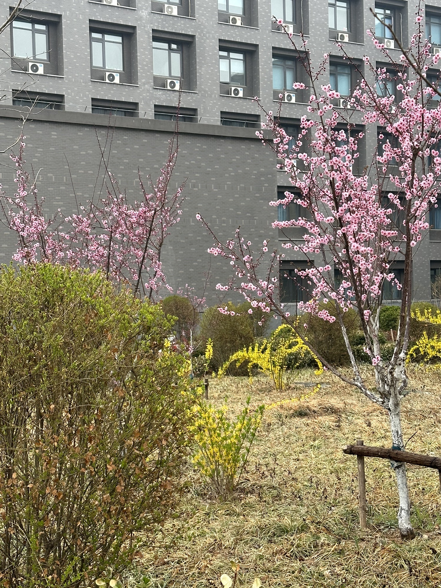 山东师范大学天颐广场旅行图片 3