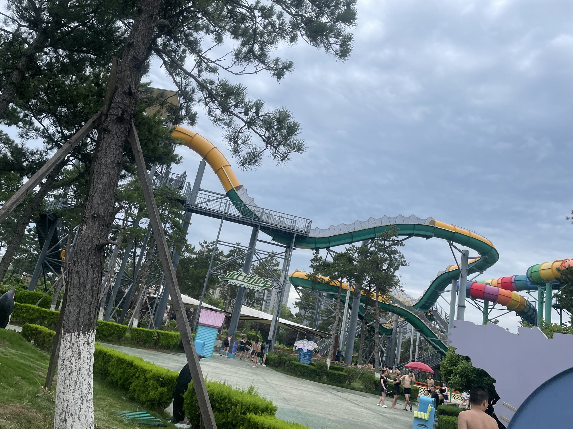 齐河黄河国际生态城旅游度假区旅行图片 3