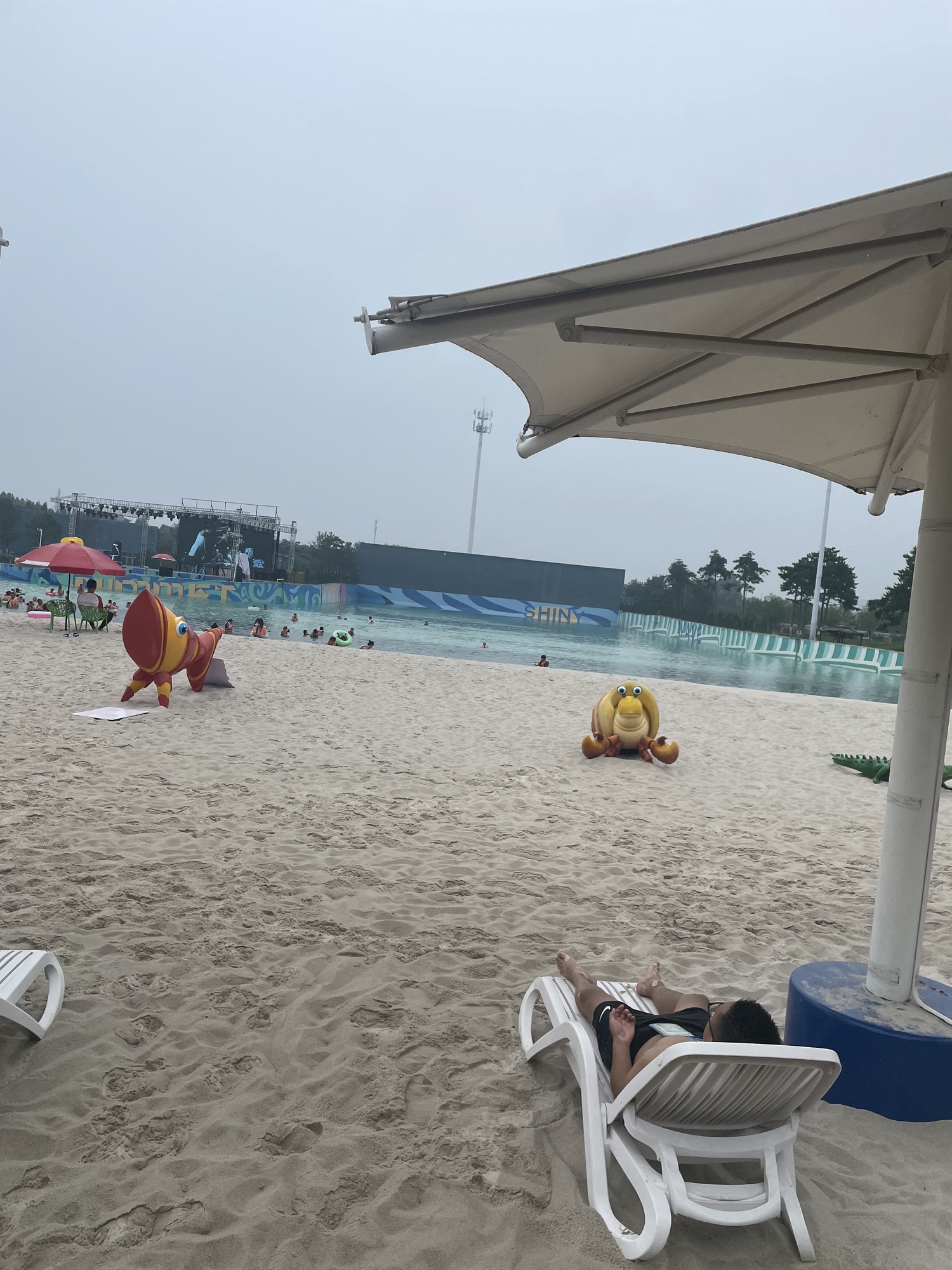 齐河黄河国际生态城旅游度假区旅行图片 1