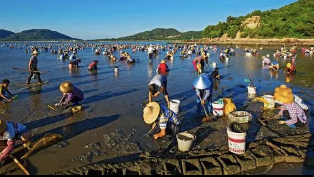 瓦晒湾免费网红赶海圣地旅行图片 1