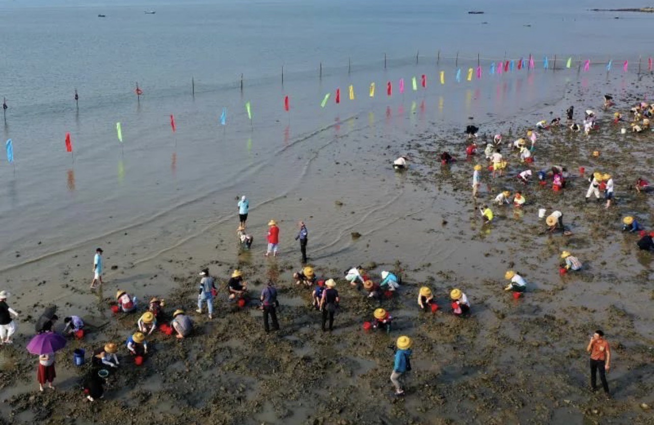 瓦晒湾免费网红赶海圣地旅行图片 2