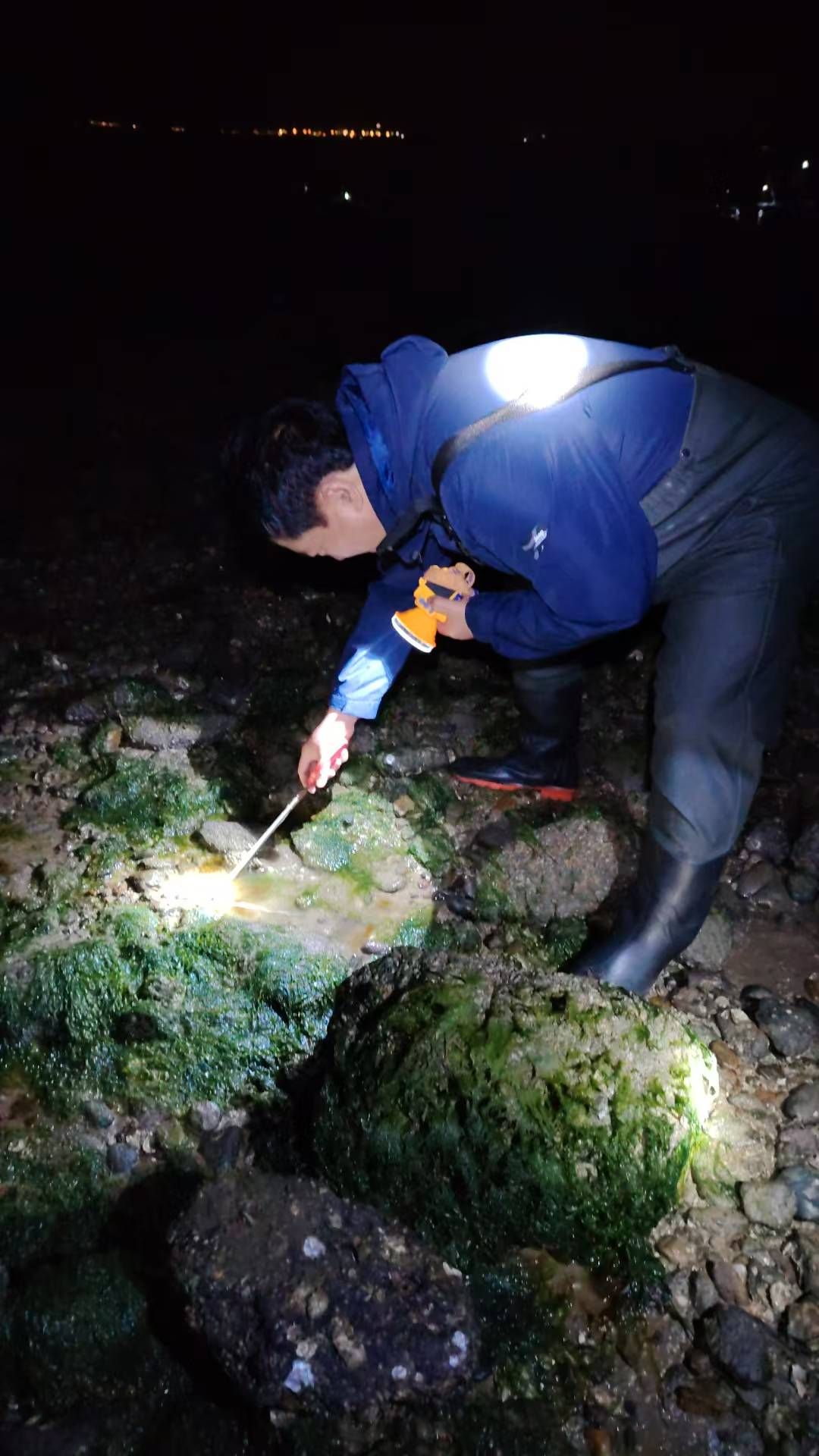 瓦晒湾免费网红赶海圣地旅行图片 1