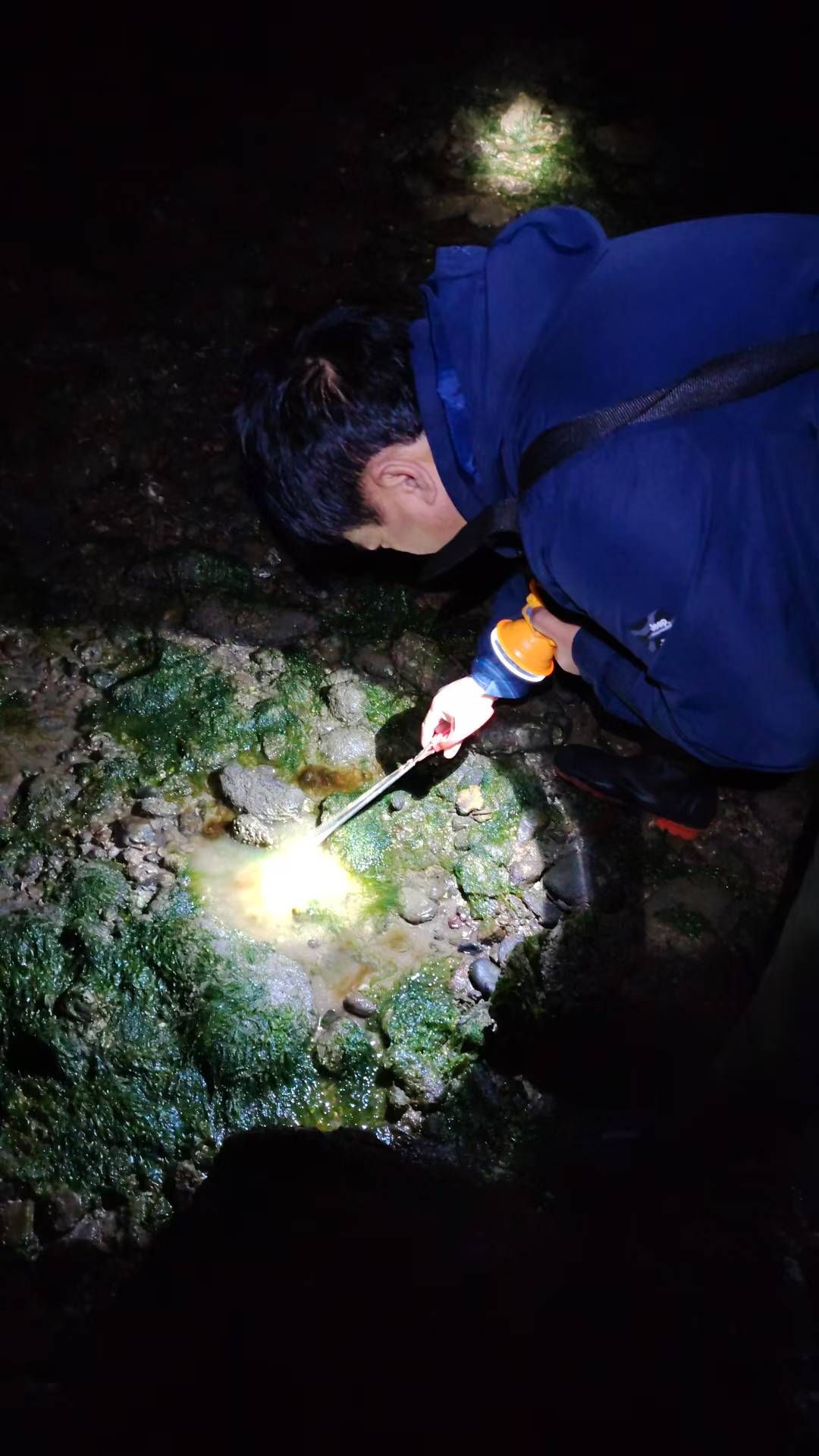 瓦晒湾免费网红赶海圣地旅行图片 2